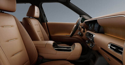Цвета салона Hyundai Palisade II - Фото 0