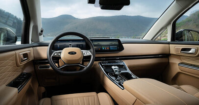 Цвета салона Jac RF8 - Фото 0