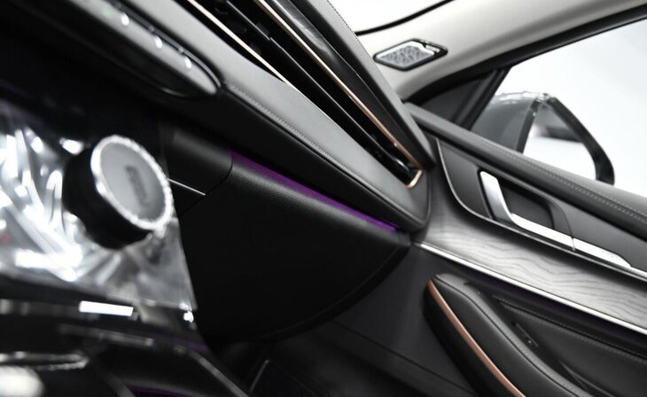 Exeed LX - Фото 13