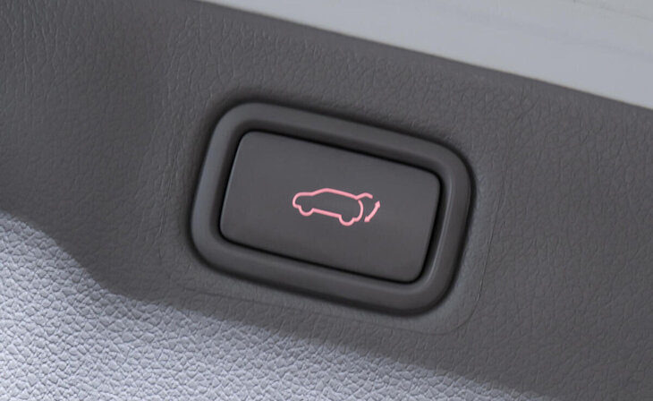 Kia Carnival - Фото 22