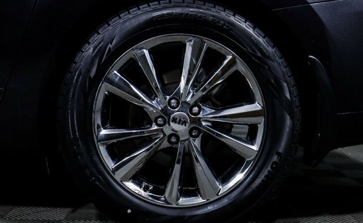 Kia Carnival - Фото 5