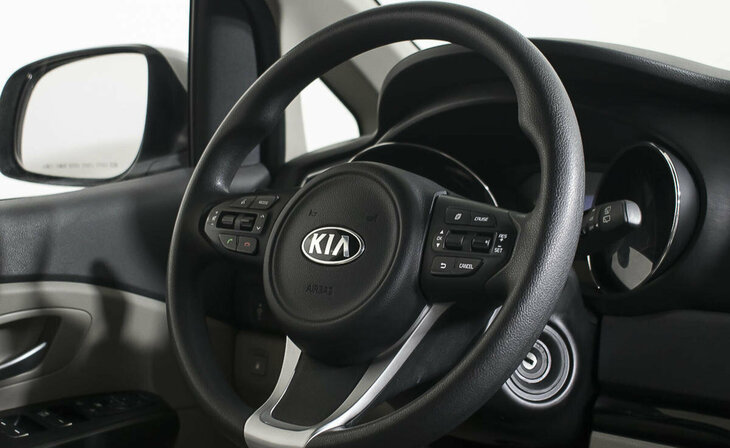Kia Carnival - Фото 12