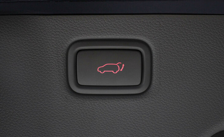 Kia Carnival - Фото 24