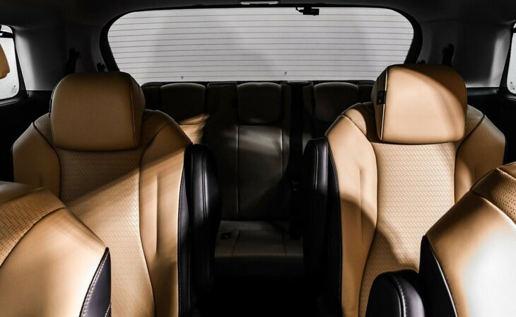 Kia Carnival - Фото 15