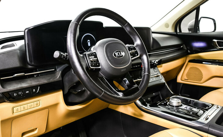 Kia Carnival - Фото 10