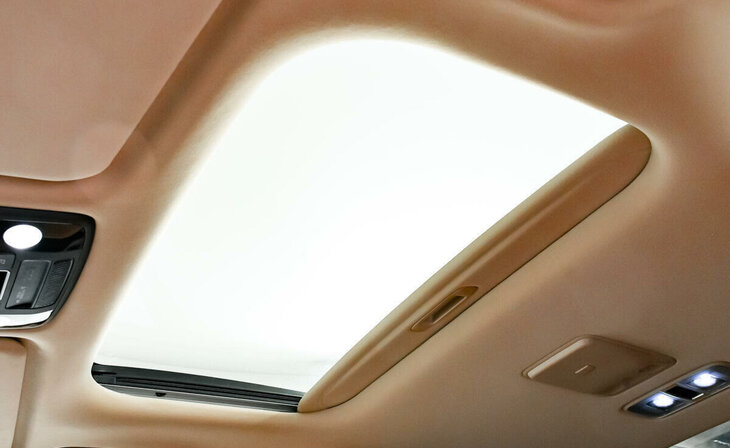 Kia Carnival - Фото 13