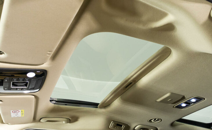 Kia Carnival - Фото 22