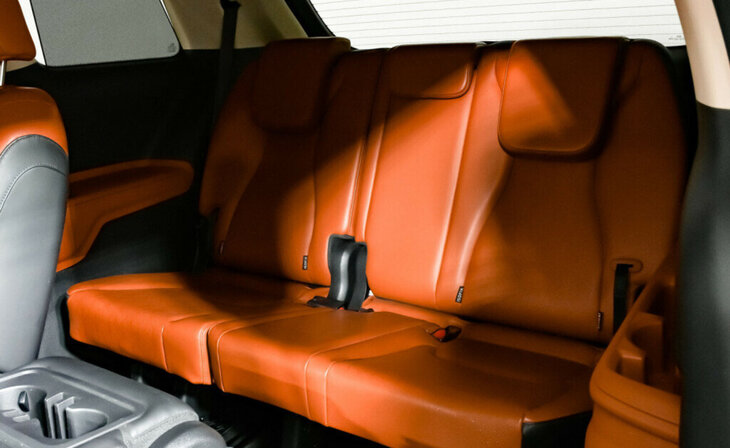 Kia Carnival - Фото 15