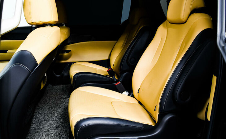 Kia Carnival - Фото 13