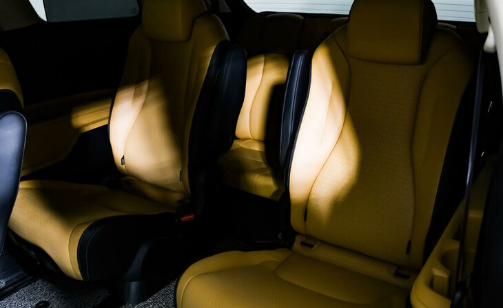 Kia Carnival - Фото 14