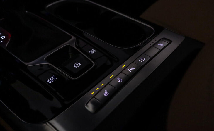 Kia Carnival - Фото 10