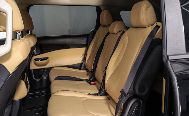 Kia Carnival - Фото 12