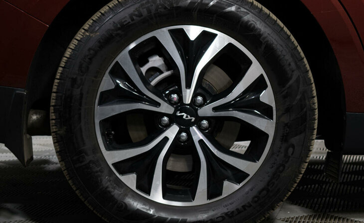 Kia Carnival - Фото 4