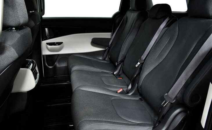 Kia Carnival - Фото 12