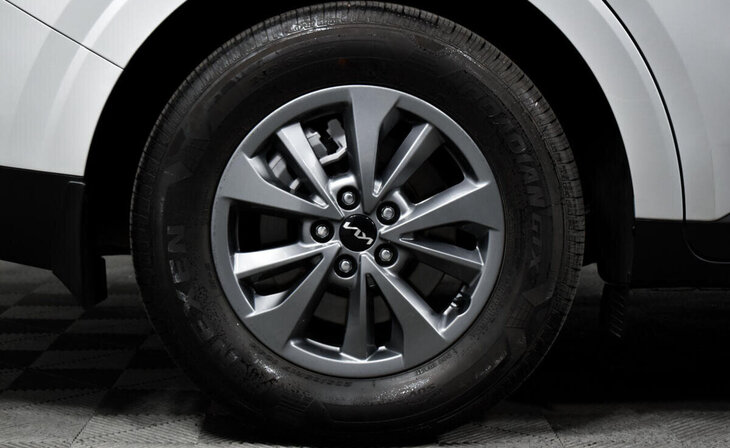 Kia Carnival - Фото 7